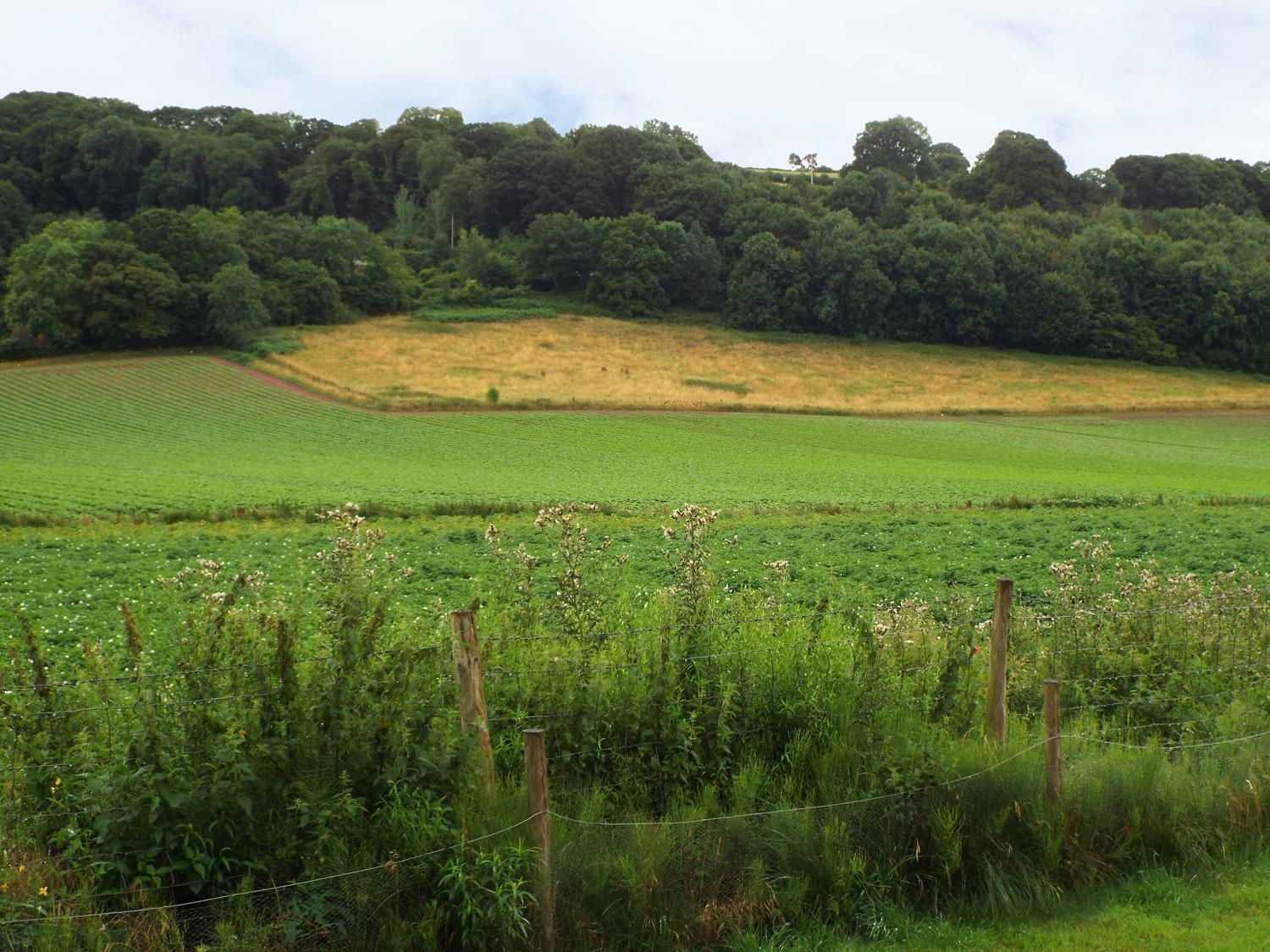 Ross-on-Wye The Granary 빌라 외부 사진